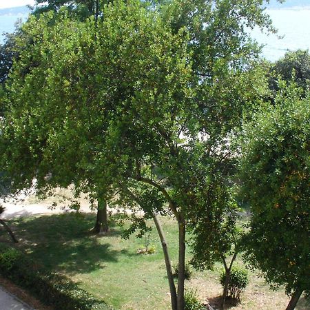 Apartment Jelena Zadar Luaran gambar