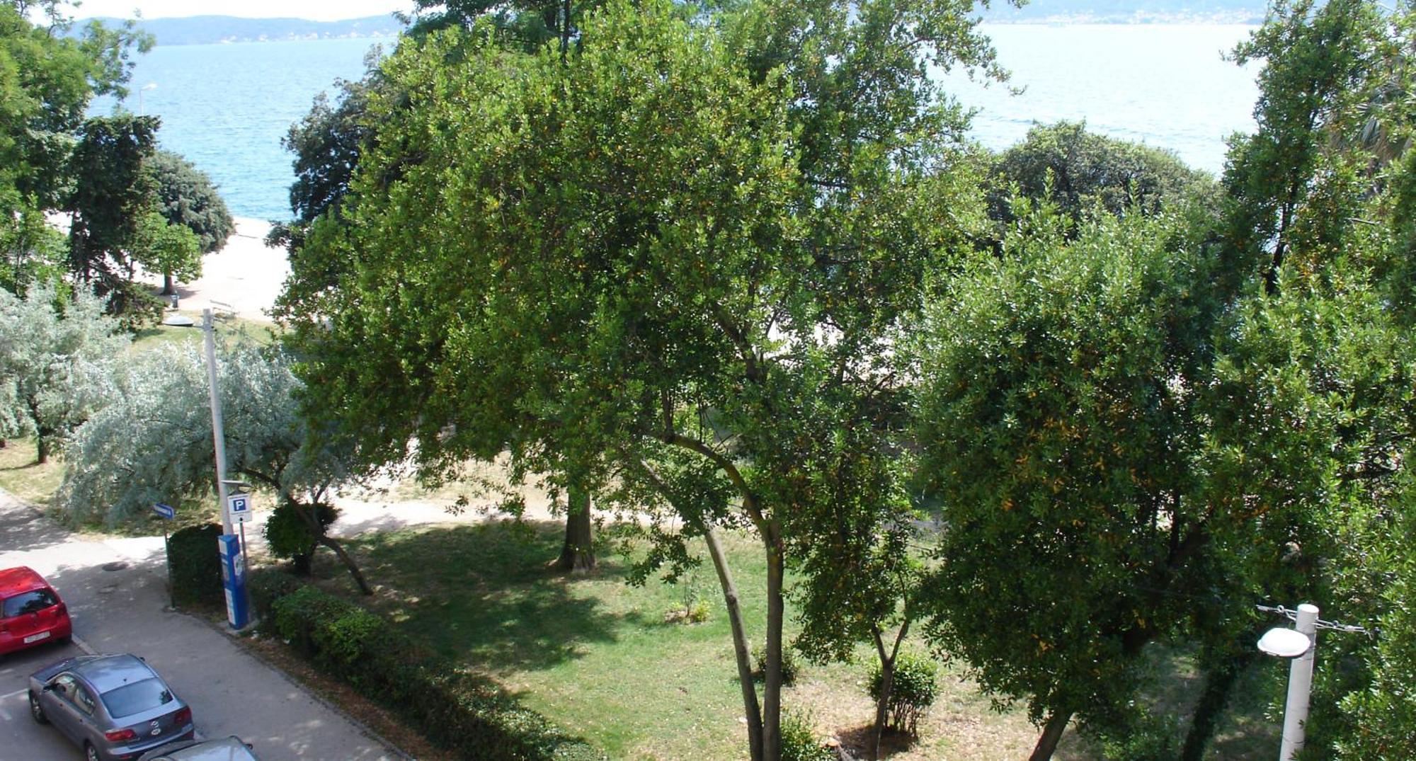 Apartment Jelena Zadar Luaran gambar